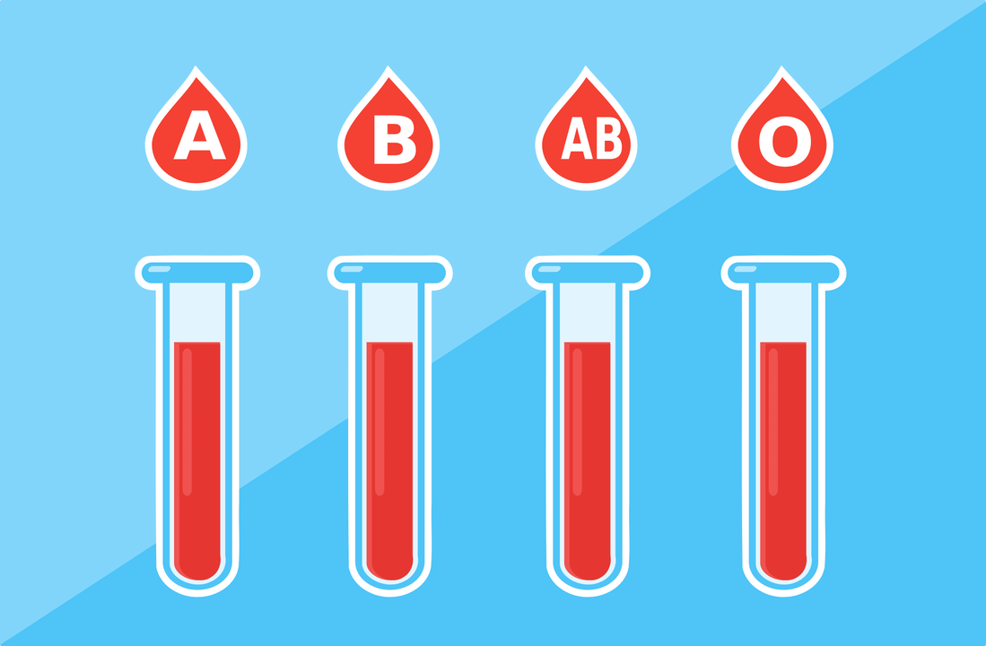 Il existe 4 groupes sanguins  A, B, AB, O